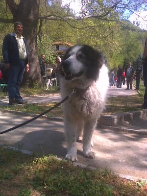 Прикачена снимка