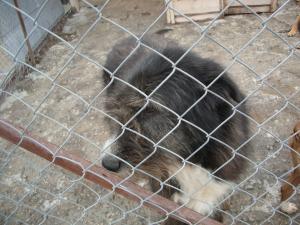 Прикачена снимка
