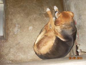 Прикачена снимка