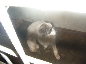 Прикачена снимка