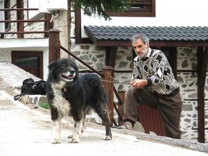 Прикачена снимка