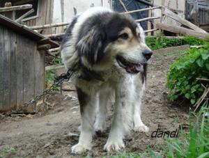 Прикачена снимка