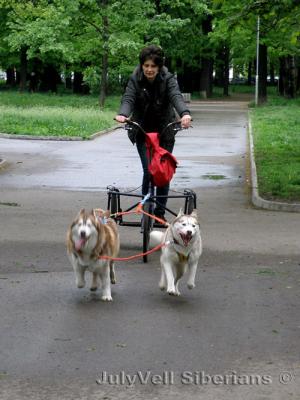 Прикачена снимка