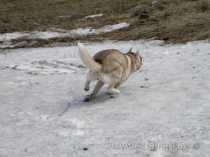 Прикачена снимка