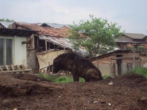 Прикачена снимка