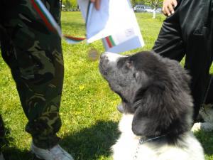 Прикачена снимка