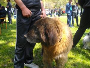 Прикачена снимка