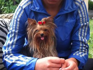Прикачена снимка
