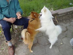 Прикачена снимка