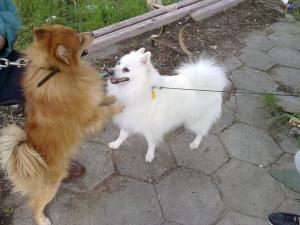Прикачена снимка