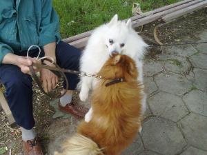 Прикачена снимка