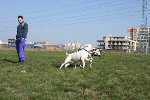 Прикачена снимка