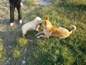 Прикачена снимка