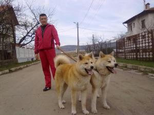 Прикачена снимка