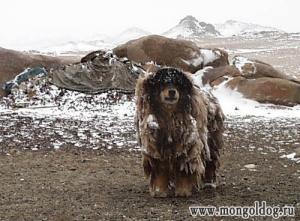 Прикачена снимка