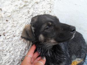 Прикачена снимка