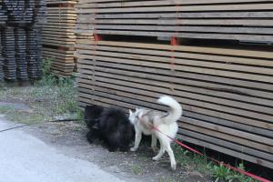 Прикачена снимка