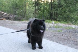 Прикачена снимка