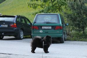 Прикачена снимка