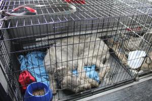 Прикачена снимка