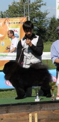 Прикачена снимка
