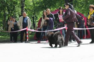 Прикачена снимка