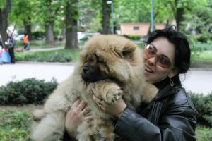 Прикачена снимка