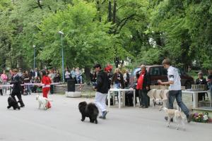 Прикачена снимка