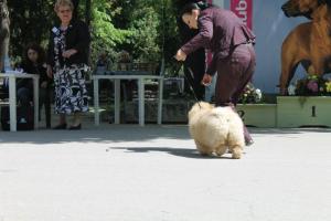 Прикачена снимка
