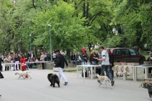 Прикачена снимка