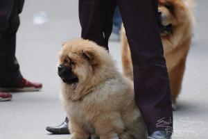 Прикачена снимка