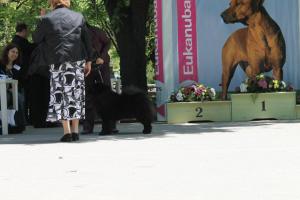 Прикачена снимка