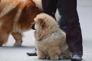 Прикачена снимка
