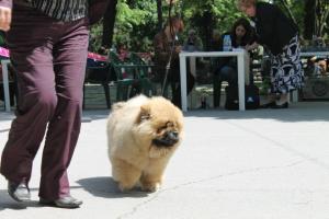 Прикачена снимка