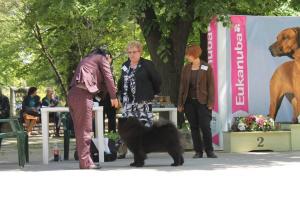 Прикачена снимка