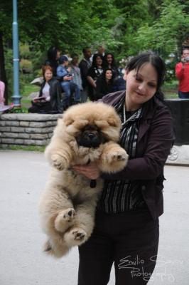 Прикачена снимка