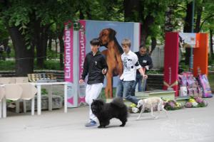 Прикачена снимка