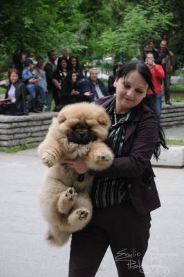 Прикачена снимка