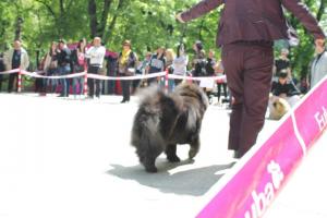 Прикачена снимка