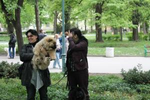 Прикачена снимка