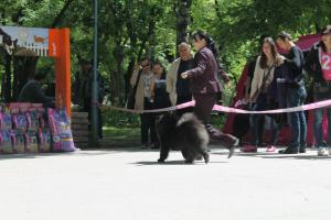 Прикачена снимка