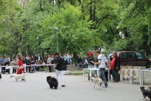 Прикачена снимка
