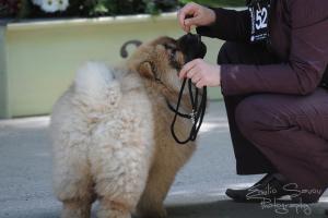 Прикачена снимка