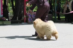 Прикачена снимка