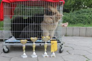 Прикачена снимка
