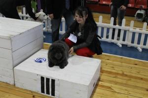 Прикачена снимка