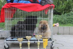 Прикачена снимка