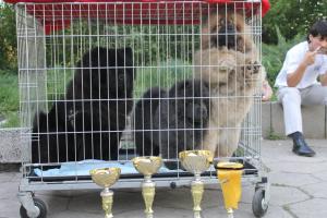 Прикачена снимка