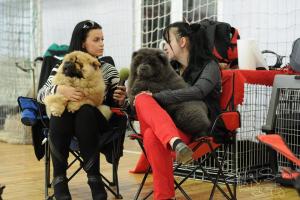 Прикачена снимка