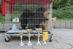 Прикачена снимка